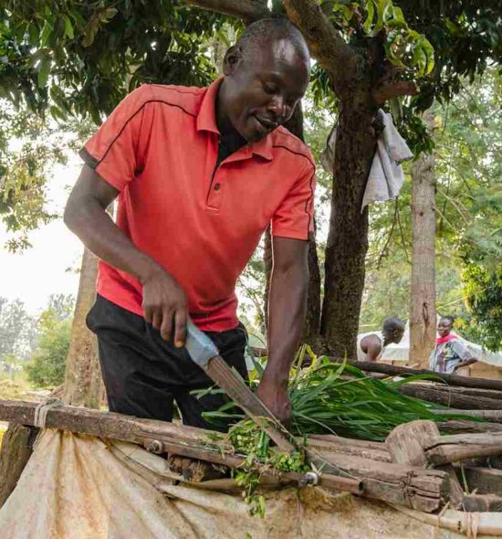 man chops grass-min_11zon